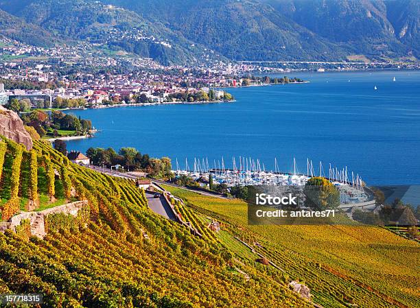 Lavaux Vineyards Stock Photo - Download Image Now - Vevey, Montreux, Switzerland