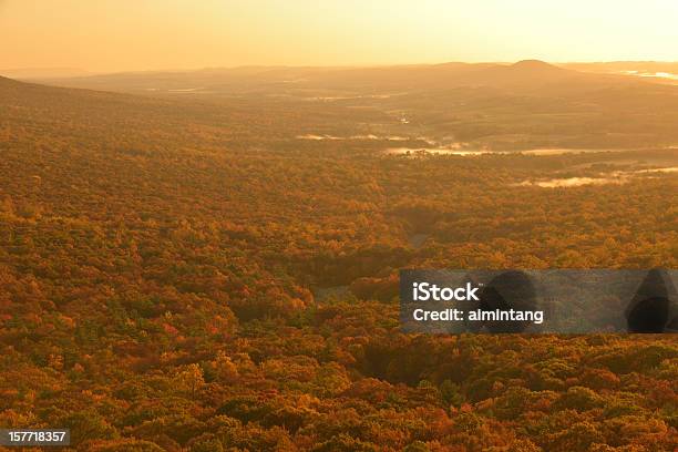 Lehigh Valley Alba - Fotografie stock e altre immagini di Albero - Albero, Ambientazione esterna, Aurora