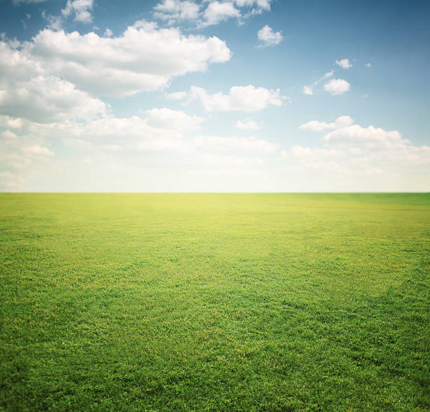 istock Green field landscape background 157718570