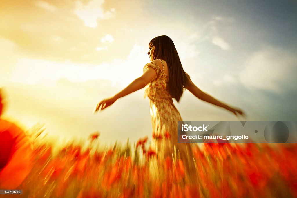 Frau Mohn Feld im Sonnenuntergang - Lizenzfrei Abgeschiedenheit Stock-Foto