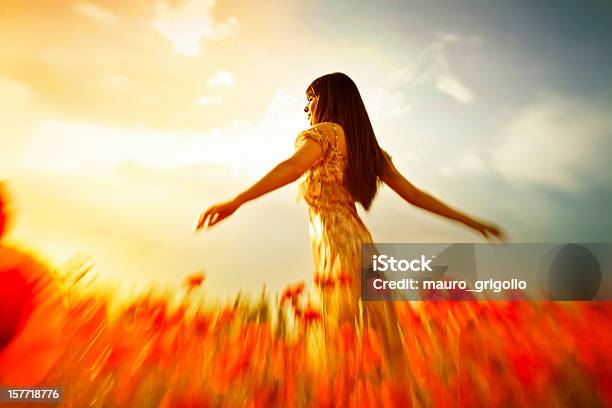 Photo libre de droit de Femme Dans Le Champ De Coquelicots Au Coucher Du Soleil banque d'images et plus d'images libres de droit de Activités de week-end