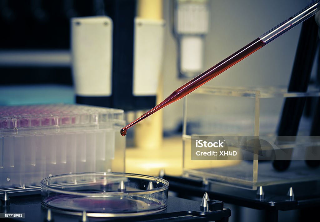 Analyse d'échantillons - Photo de Laboratoire libre de droits