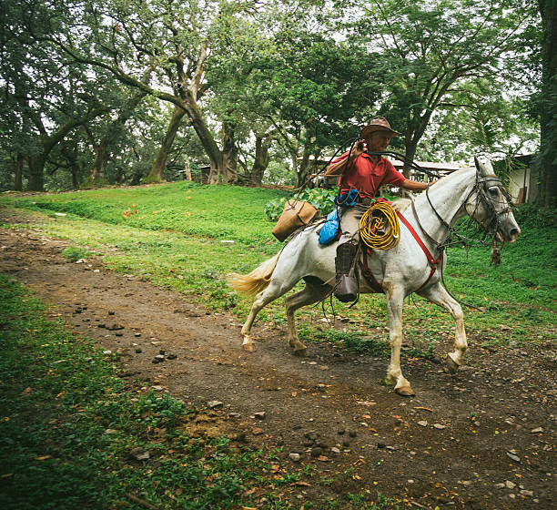 istock cowboy in costa rica 157719128