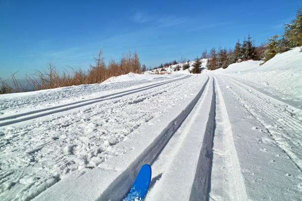 스노이 겨울맞이 풍경, 크로스 컨트리 트랙형 검정색 임산 - cross country skiing black forest germany winter 뉴스 사진 이미지