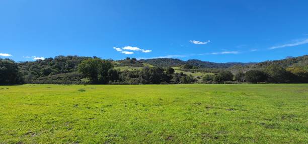 istock Grassland under the mountain. Good place for hiking. 1577192556