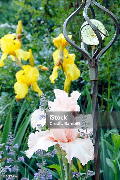 Foto de Jardim De Primavera e mais fotos de stock de Amarelo - Amarelo, Beleza natural - Natureza, Canteiro de Flores