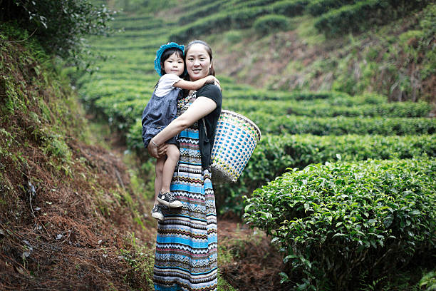 istock Mother and daughter picking tea 157719657