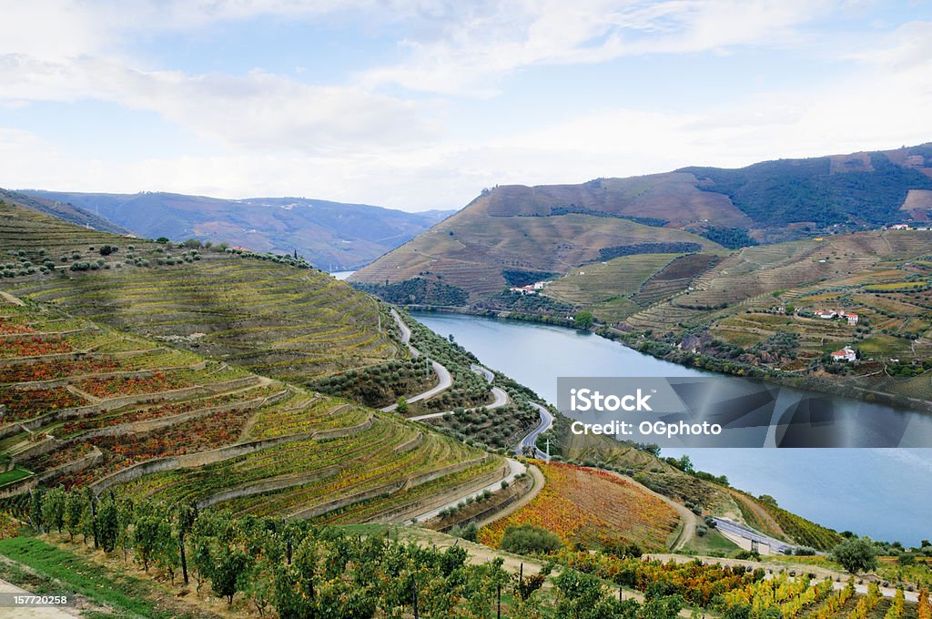 Weinberge im Herbst - Lizenzfrei Fluss Douro Stock-Foto