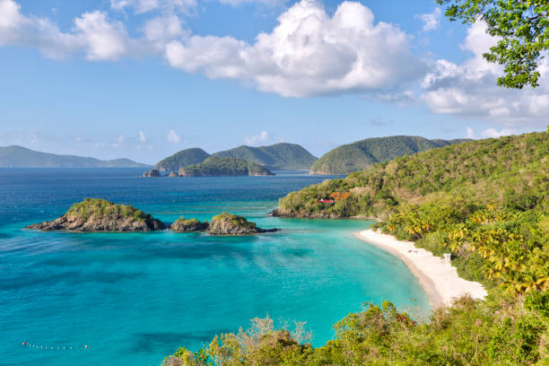 istock Beautiful Trunk Bay, St John, USVI 157720360