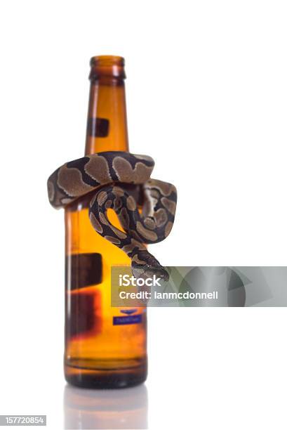 Foto de Severa Aviso e mais fotos de stock de Cobra - Cobra, Embrulhado, Pitão