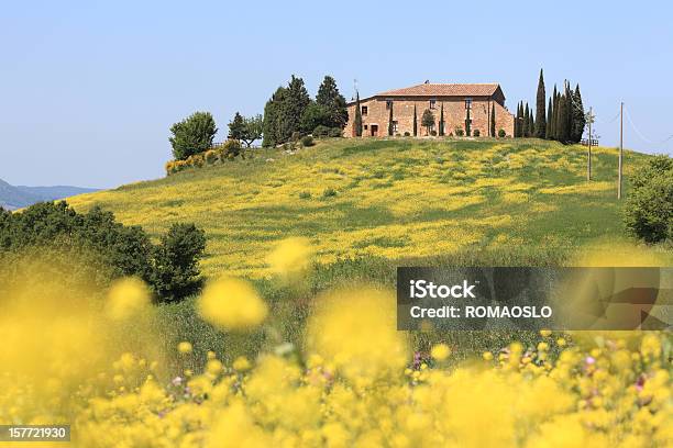 Masseria E Prato In Val Dorcia Toscana Italia - Fotografie stock e altre immagini di Casa - Casa, Collina, Un singolo oggetto