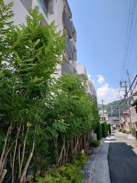 istock On the streets of Kobe 1577227816