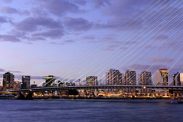 Coast guard aircraft above the Erasmusbrug bridge with nickname The Swan  in Rotterdam