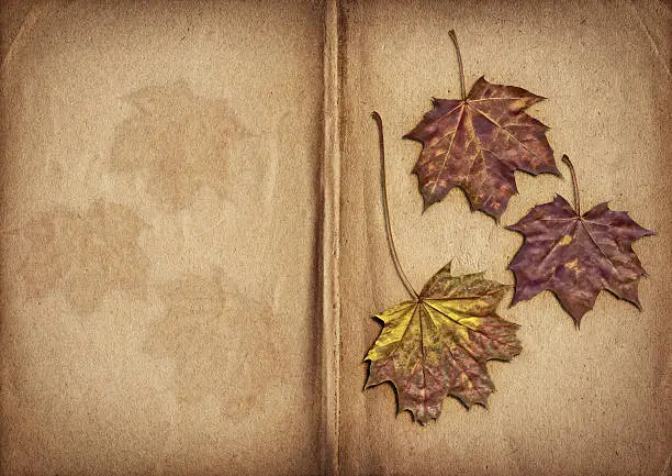 This Hi-Res Scan of Dry Maple Leaves, set on Antique Book Stained, Dappled, Crumpled Vignette, Grunge Opened Blank Pages, and equipped with precise clipping paths, is excellent choice for implementation within creative processes of various CG Projects. 