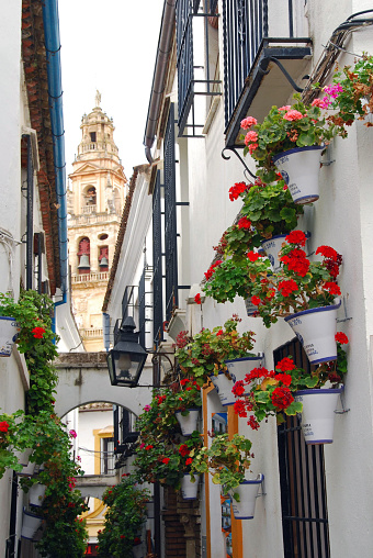 Flower street in Cordoba with the Mosque-Cathedral in the background
