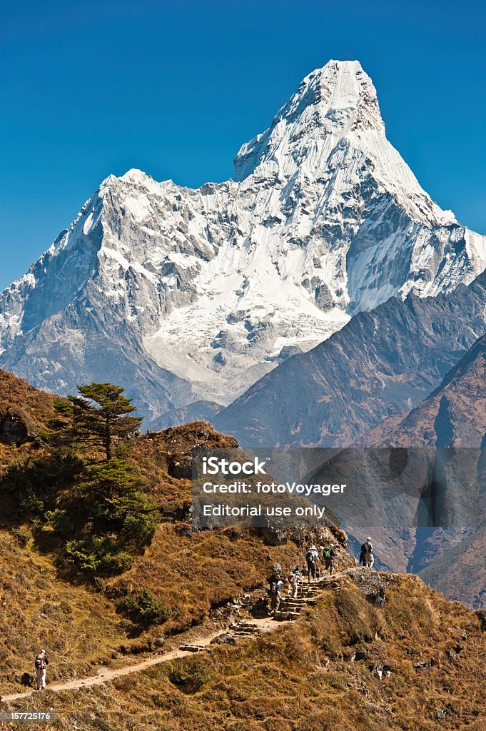 Trekkers caminhadas Everest Base trail Ama Dablam Himalaia Nepal - Foto de stock de Ama Dablam royalty-free