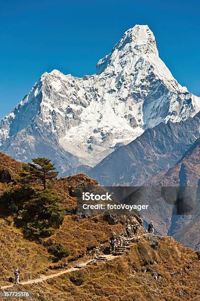 Trekkers Hiking Эверест Основа Лагерь Трейл Амадаблам Гималаи Непал — стоковые фотографии и другие картинки Ама-Даблам