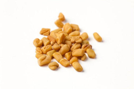 Whole fenugreek seed photographed on a white background with a macro lens. It is a spice and is a common ingredient in many curries. It also has a number of medicinal uses and is known to increase lactation in nursing mothers.