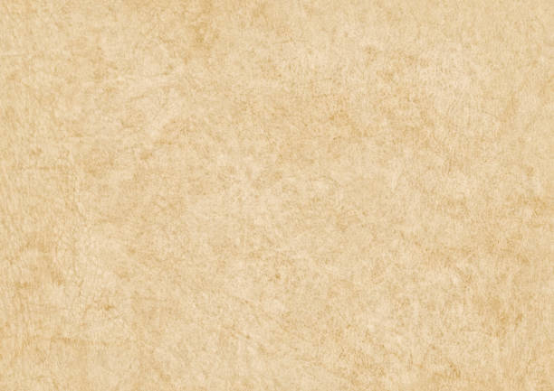 istock High Resolution Antique Animal Skin Parchment Grunge Texture 157725639