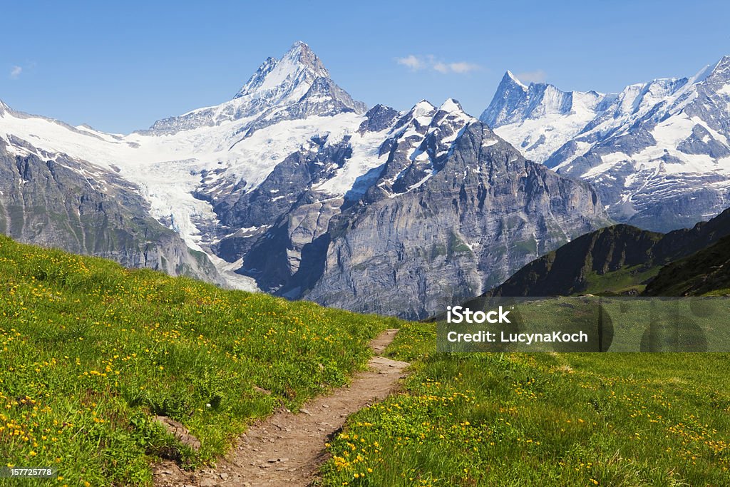 Die Berge im Sommer - Lizenzfrei Weg Stock-Foto