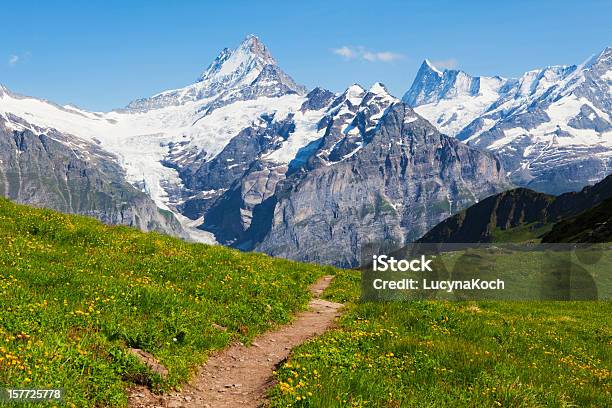 Die Berge Im Sommer Stockfoto und mehr Bilder von Weg - Weg, Schweizer Alpen, Berg
