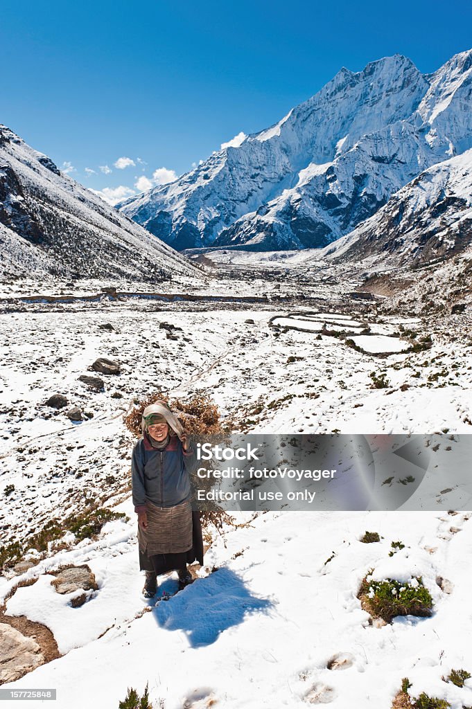 Sherpa mujer llevando yac forrajeras nívea mountain valley - Foto de stock de Himalayas libre de derechos