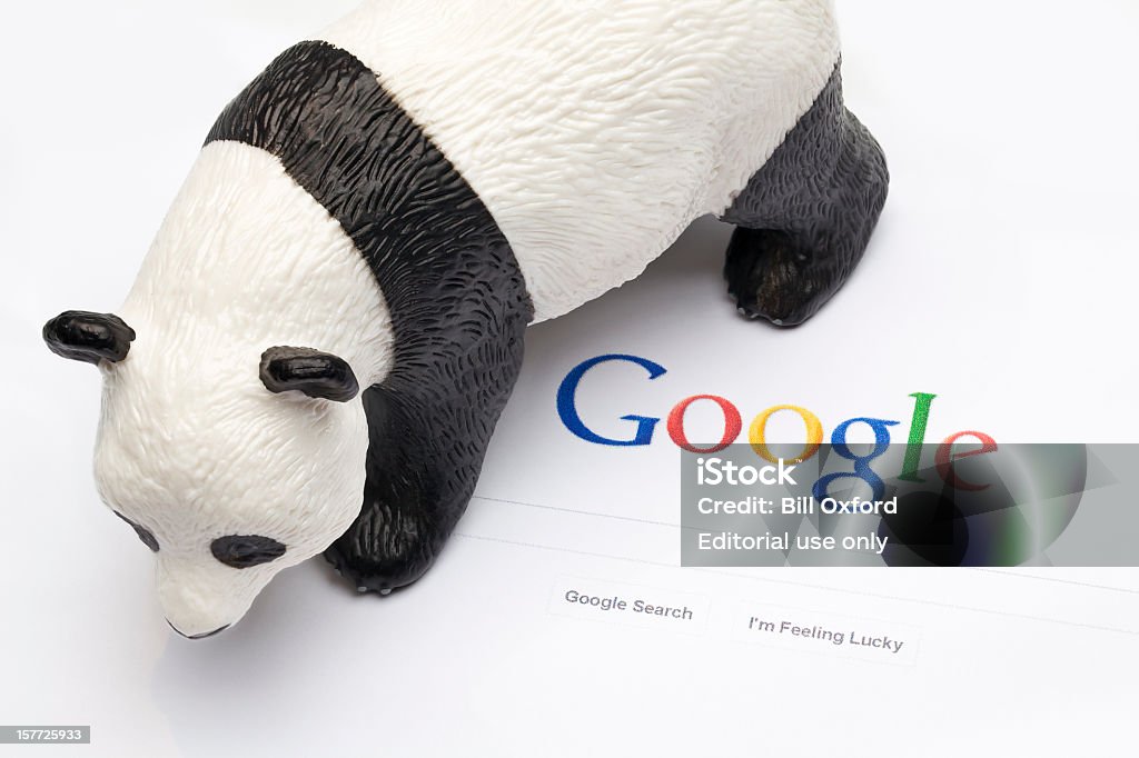 Google Panda e Pinguim - Royalty-free Analisar Foto de stock