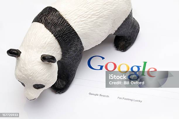 Foto de Google Panda E Penguin e mais fotos de stock de Analisar - Analisar, Animal, Brinquedo