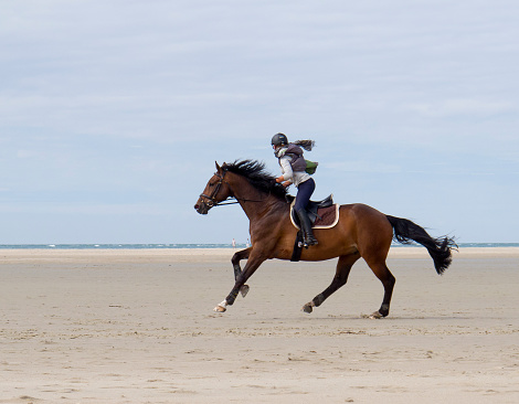 Otaki Beach, New Zealand – April 03, 2021: A horse rider and dog at Otaki Beach, Kapiti Coast, New Zealand