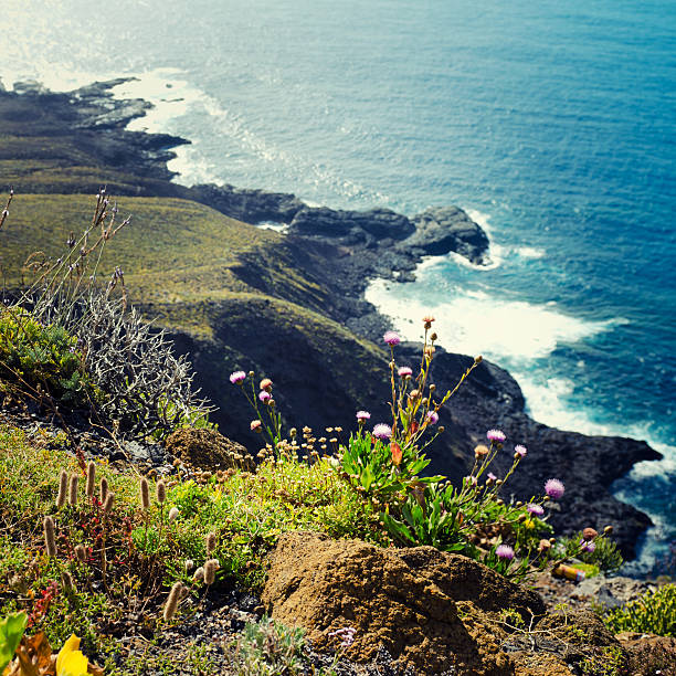 istock Seascape rocky coastline in Tenerife 157726115