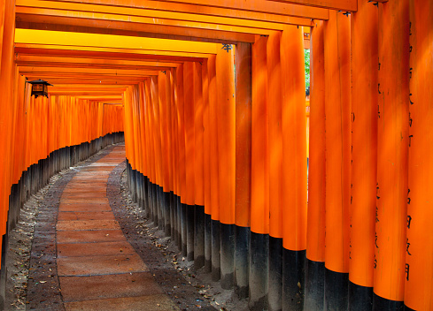 Kyoto, Japan - June 15, 2010: Torii Gates of Fushimi Inari shrine, Kyoto, Japan\n\nFushimi Inari Shrine is famous for the countless torii gates, offerings by worshippers, that cover the hiking trails of Inarisan, the wooded mountain behind the shrine's main buildings. It takes about two hours to walk along the whole trail.