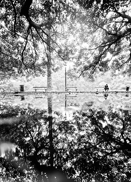 empresário sentado em um banco em buenos aires - bench men puddle sitting - fotografias e filmes do acervo