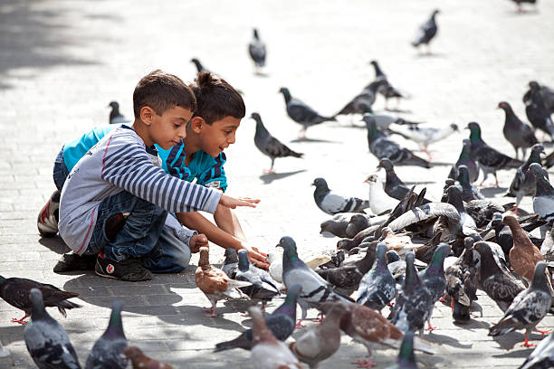 Parent and Child Having Fun Enjoying Outdoors While Feeding Pigeons