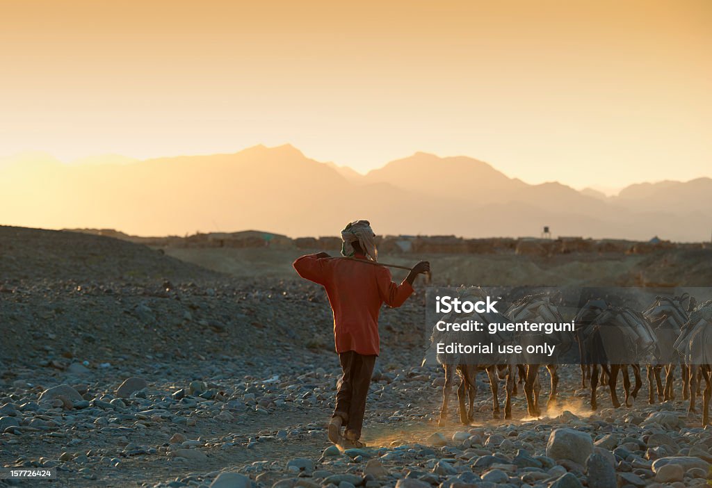 Uno degli ultimi salt Caravan, Danakil deserto, Etiopia - Foto stock royalty-free di Africa