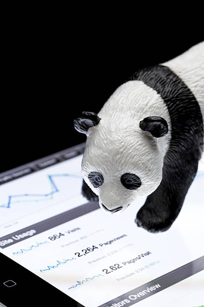 google panda - google panda zdjęcia i obrazy z banku zdjęć