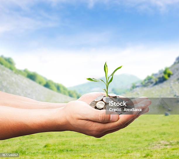 Manos Con El Dinero Y Planta Foto de stock y más banco de imágenes de Dinero - Dinero, Plántula, Actividades bancarias