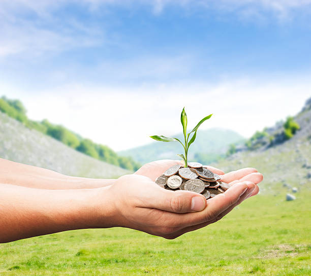 istock hands with money and plant 157726557