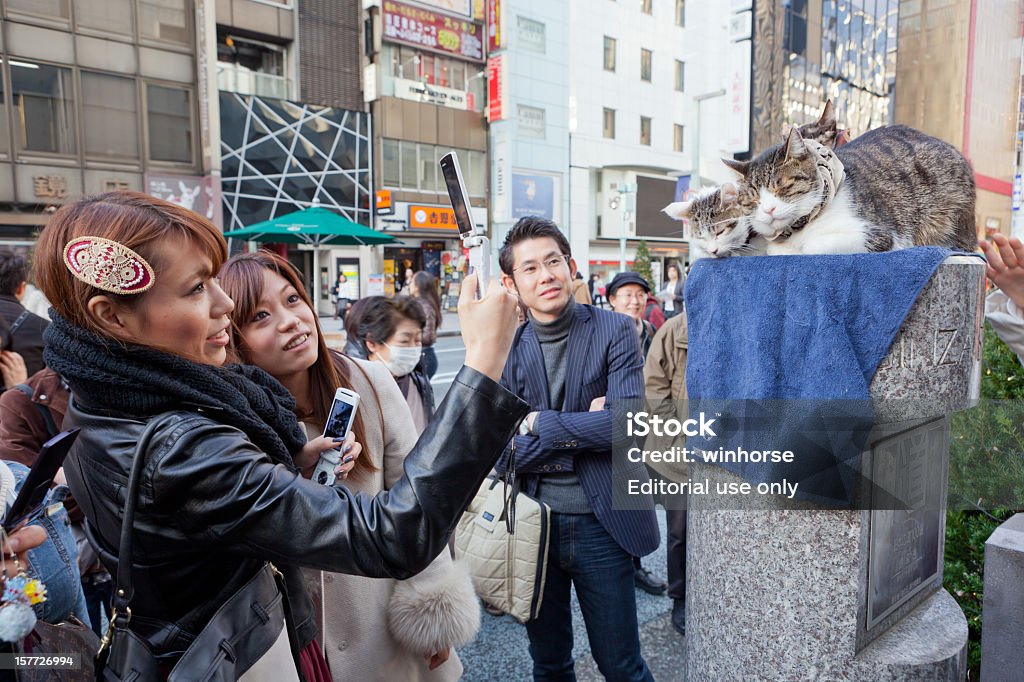 고양이 있는 긴자, 도쿄, 일본 - 로열티 프리 도쿄 스톡 사진