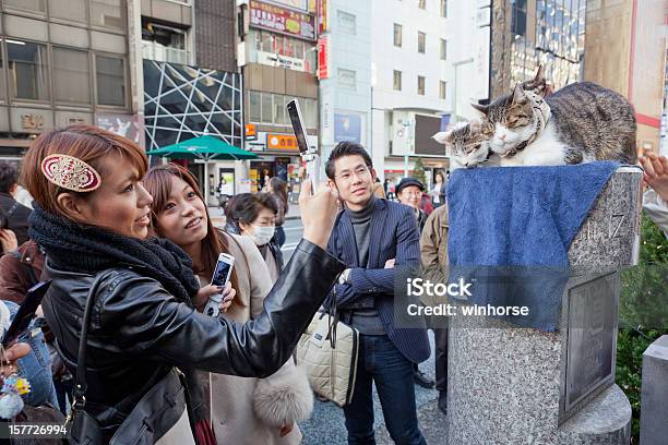 고양이 있는 긴자 도쿄 일본 도쿄에 대한 스톡 사진 및 기타 이미지 - 도쿄, 애완고양이, 거리