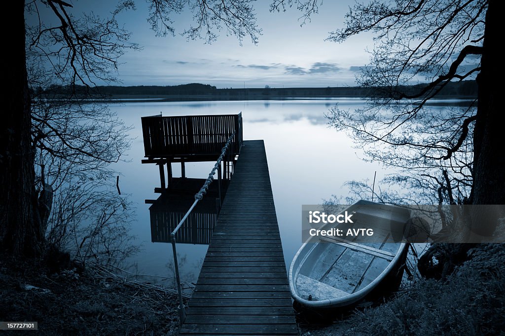 列ボートドックで、静かな湖に囲まれた木 - Horizonのロイヤリティフリーストックフォト