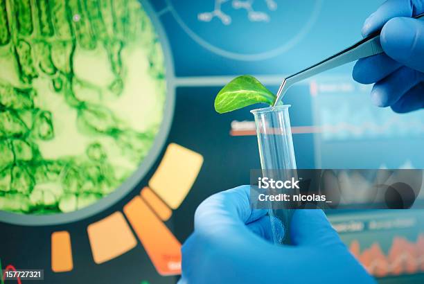 Biotechnologia - zdjęcia stockowe i więcej obrazów Probówka - Probówka, Roślina, Wielokolorowy