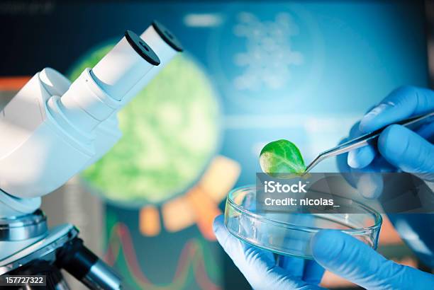 Biotechnologia - zdjęcia stockowe i więcej obrazów Mikroskop - Mikroskop, Biologia - Nauka, Laboratorium