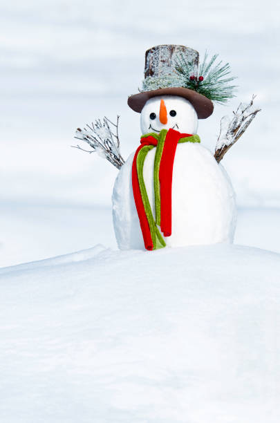 istock snowman in winter scene 157727496