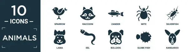 Vector illustration of filled animals icon set. contain flat sparrow, raccoon, zander, mite, silverfish, lama, eel, bulldog, globe fish, kangaroo icons in editable format..