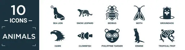 Vector illustration of filled animals icon set. contain flat sea lion, snow leopard, bedbug, moth, groundhog, hawk, clownfish, philippine tarsier, ermine, tropical frop icons in editable format..