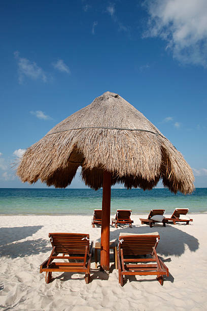 istock Palapa and chairs on tropical beach. 157727718