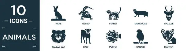 Vector illustration of filled animals icon set. contain flat hare, gecko, ferret, mongoose, gazelle, pallas cat, calf, puffer, canary, marten icons in editable format..