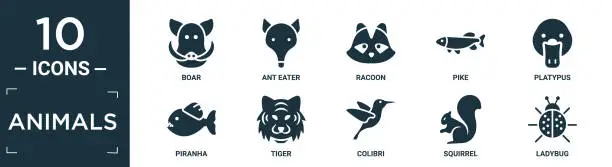 Vector illustration of filled animals icon set. contain flat boar, ant eater, racoon, pike, platypus, piranha, tiger, colibri, squirrel, ladybug icons in editable format..