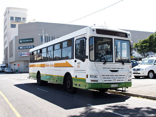 golden com ônibus na cidade do cabo - milnerton - fotografias e filmes do acervo