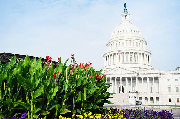 istock United States Capitol  - Washington DC on spring 157728330